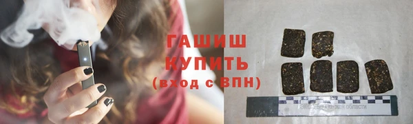 СК Алексин