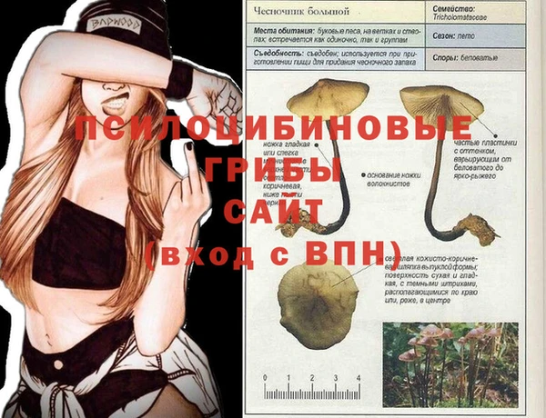 стафф Алексеевка