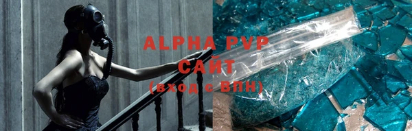 СК Алексин
