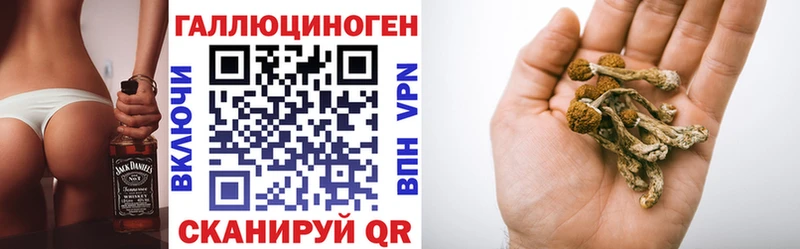 закладки  Новозыбков  Галлюциногенные грибы мицелий 