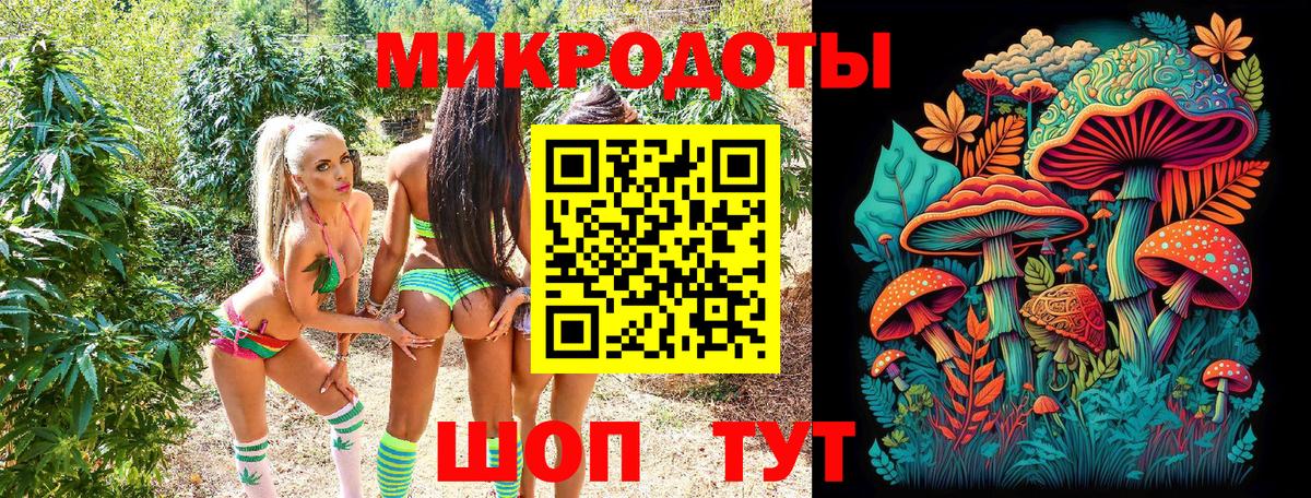Новозыбков  Псилоцибиновые грибы ЛСД  Вход с VPN 